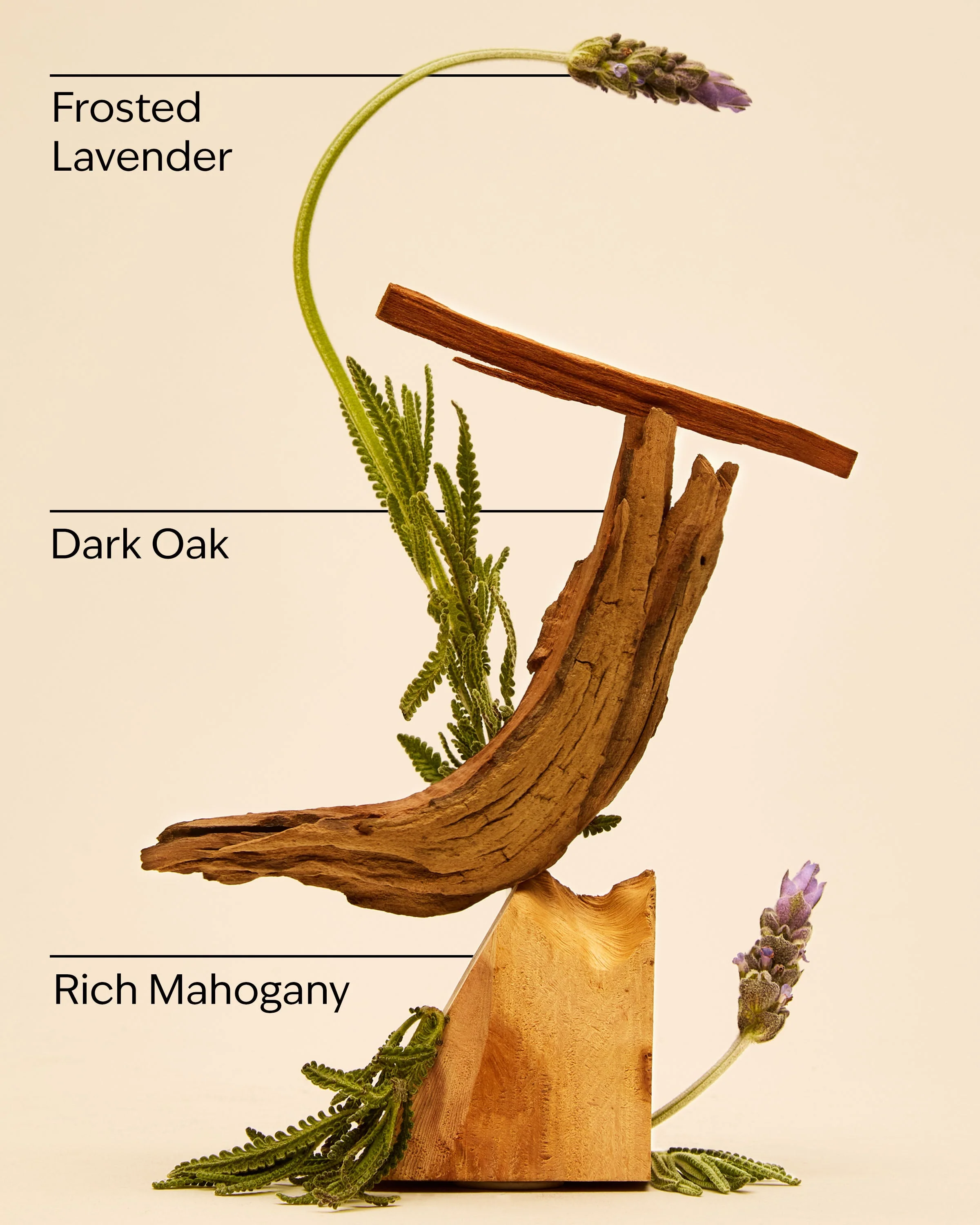 Mahogany Teakwood 3-Wick Candle - Image 4