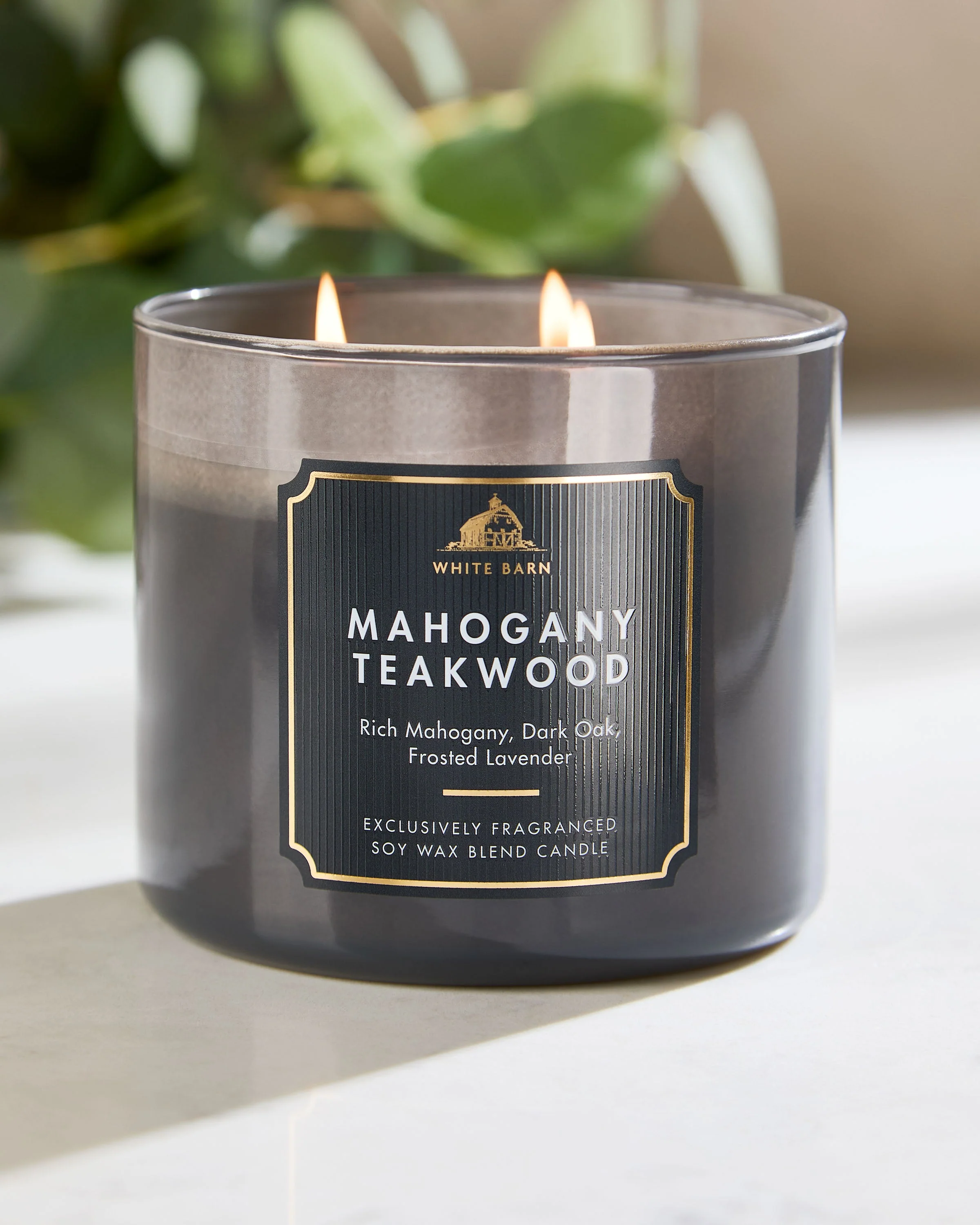 Mahogany Teakwood 3-Wick Candle - Image 5