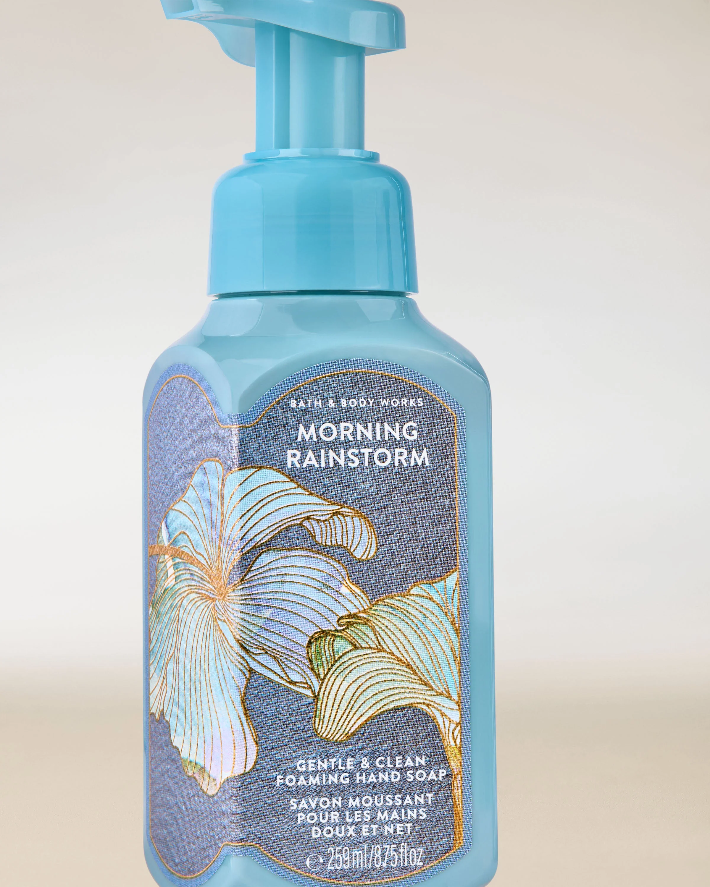 Morning Rainstorm Gentle & Clean Foaming Hand Soap - Image 2
