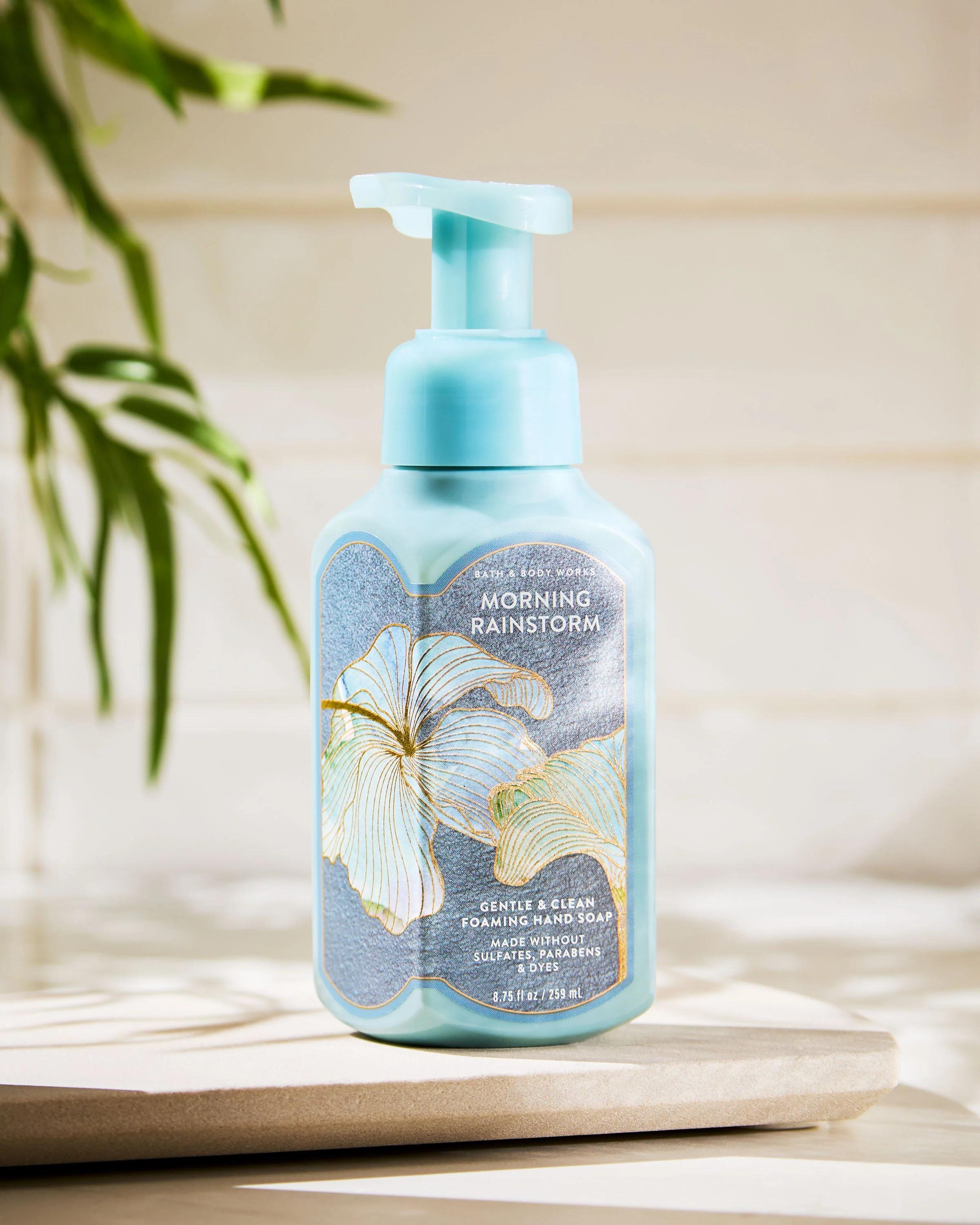 Morning Rainstorm Gentle & Clean Foaming Hand Soap - Image 5